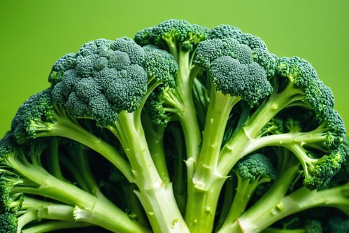 西藍花 生機盎然的綠色營養(yǎng)寶庫