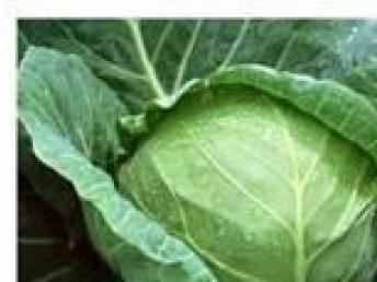 深圳農(nóng)產(chǎn)品配送服務 便捷生活與健康保障