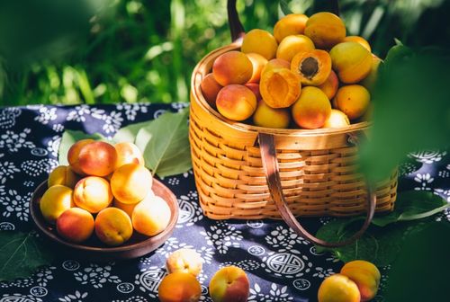 品味新疆 招牌果發(fā)布會 百果園攜手新疆優(yōu)質農(nóng)產(chǎn)品產(chǎn)銷服務中心共促農(nóng)產(chǎn)品品質升級