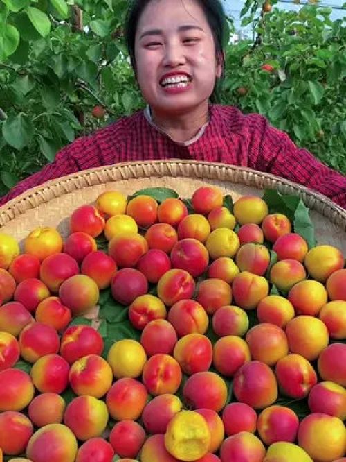 守護(hù)舌尖上的安全與品質(zhì) 優(yōu)質(zhì)農(nóng)產(chǎn)品的時(shí)代價(jià)值與未來之路