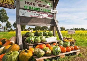 借鑒國外經(jīng)驗(yàn)，破解農(nóng)產(chǎn)品滯銷難題