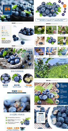 農(nóng)資與農(nóng)產(chǎn)品 現(xiàn)代農(nóng)業(yè)發(fā)展的雙輪驅(qū)動(dòng)